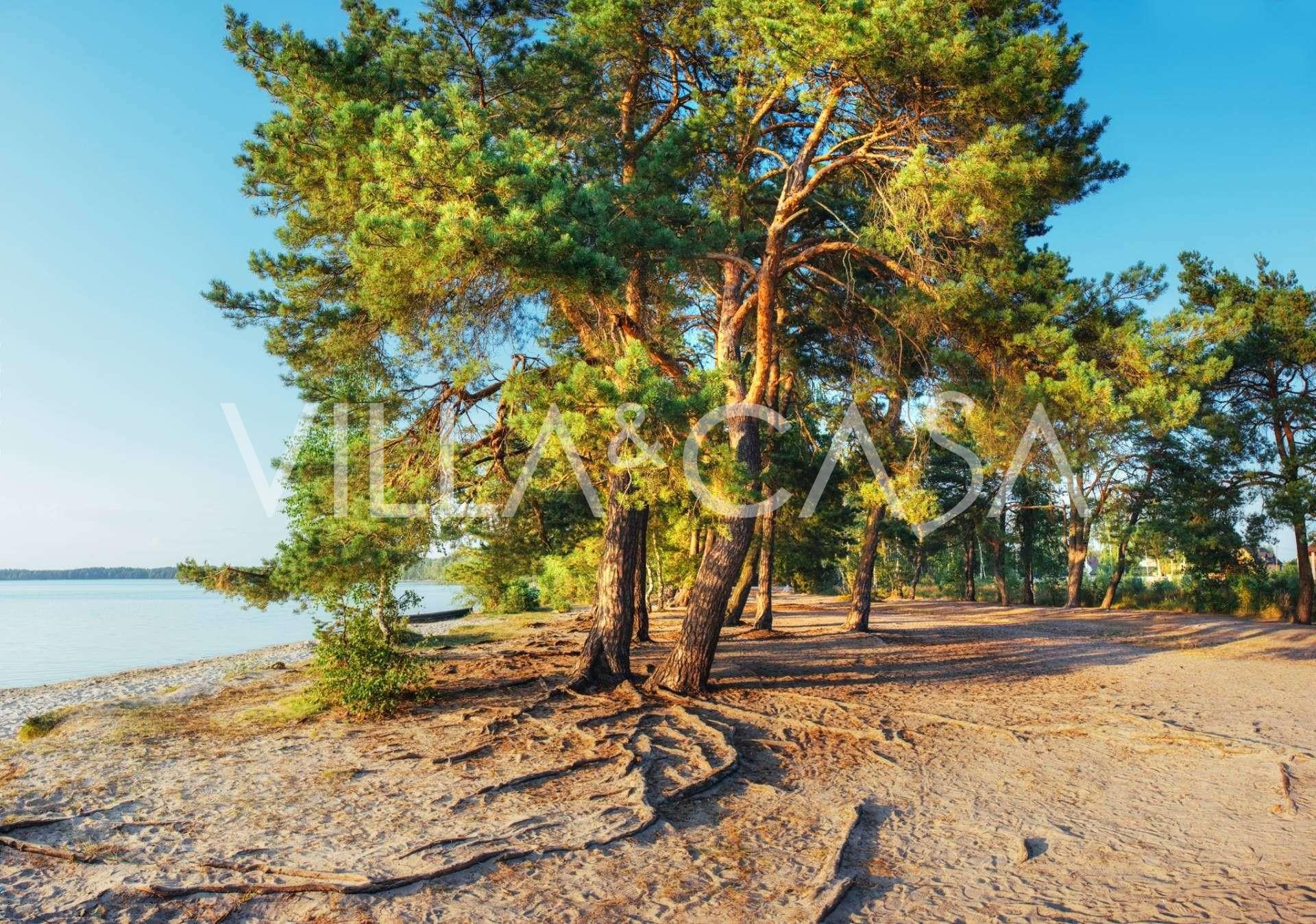 Camping vid havet i Toscana till salu