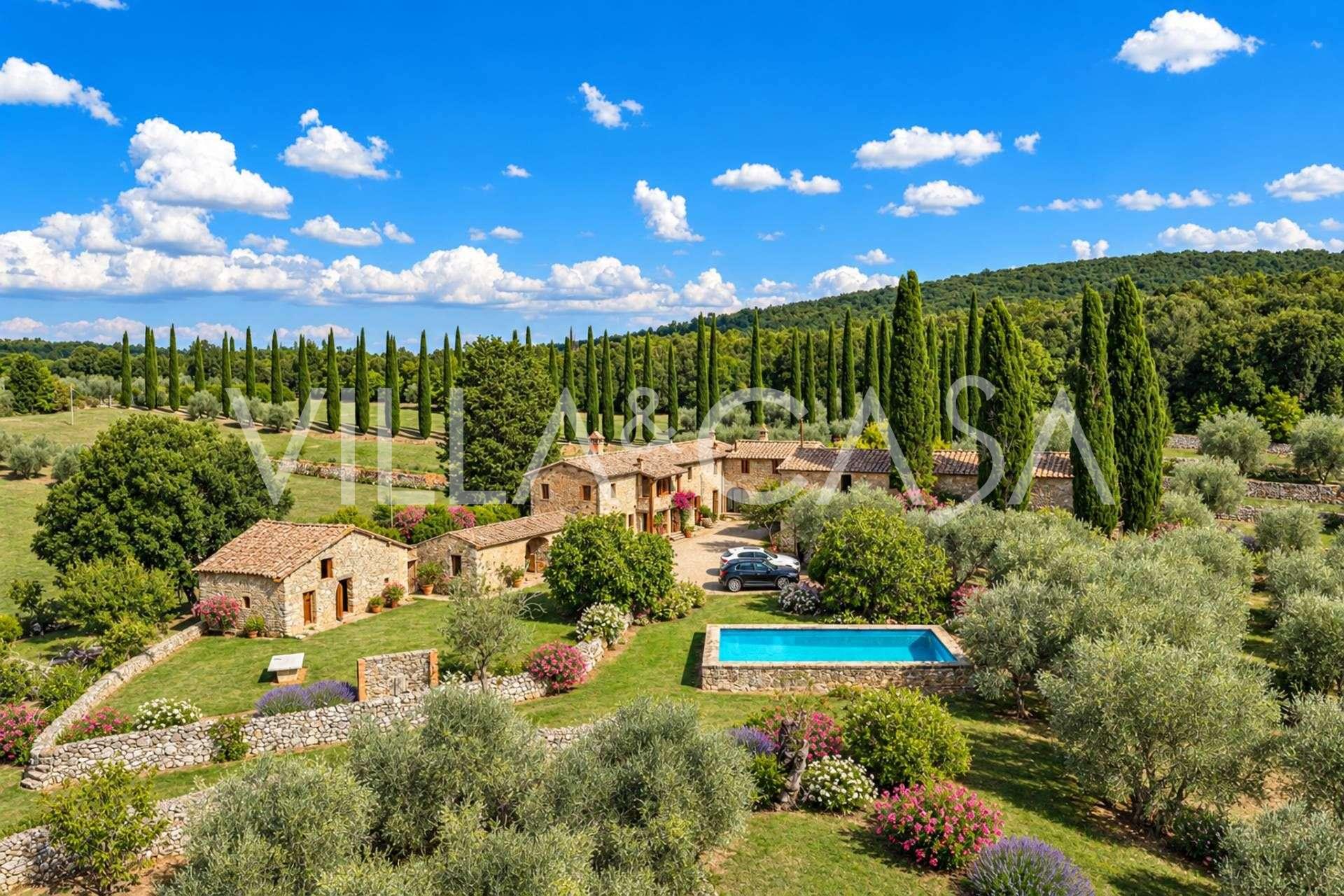 Tomt med olivträd till salu utanför Siena, Toscana