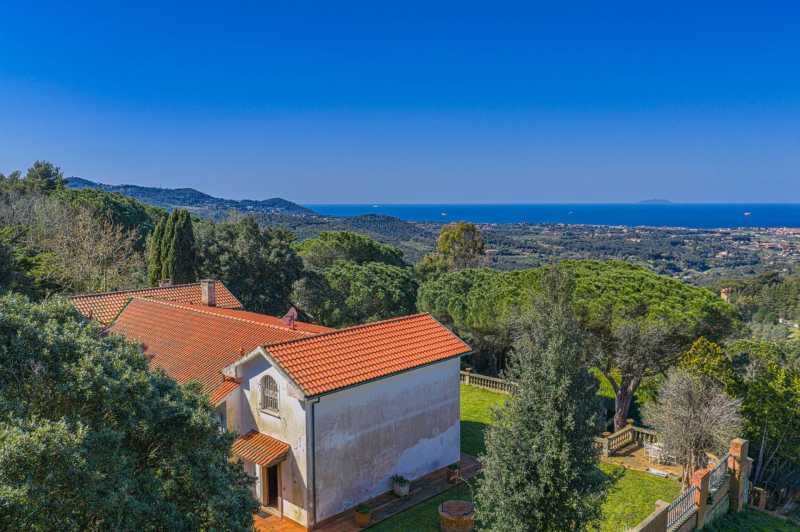 Typ av villa i Livorno
