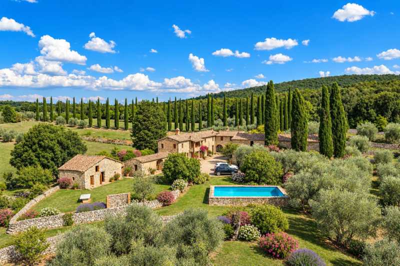 Tomt med olivträd till salu utanför Siena, Toscana