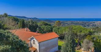 Typ av villa i Livorno