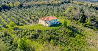 Egendom i Manciano, Toscana till salu