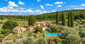Tomt med olivträd till salu utanför Siena, Toscana